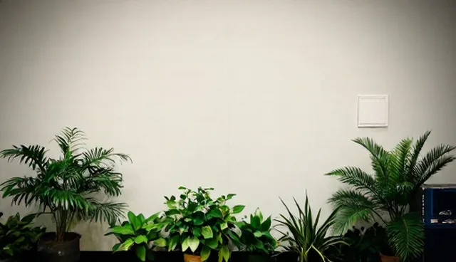 项目管理中的软件研发难点及解决方向